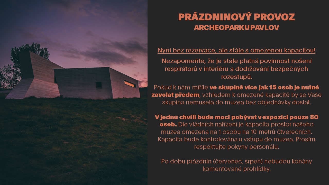 prázdninový provoz 2021 02