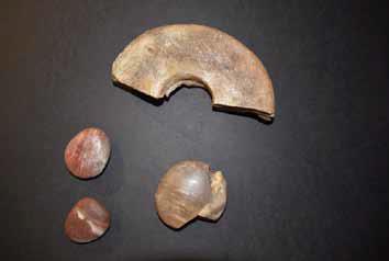 11.14 Fragment of a ground stone disc