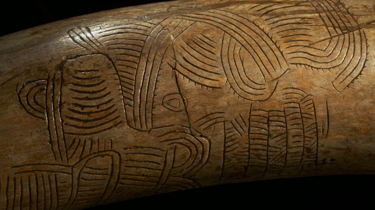 1.1 Complex geometric engraving on a mammoth tusk