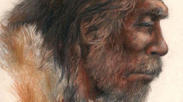 Homo neanderthalensis (drawing: P. Dvorský)