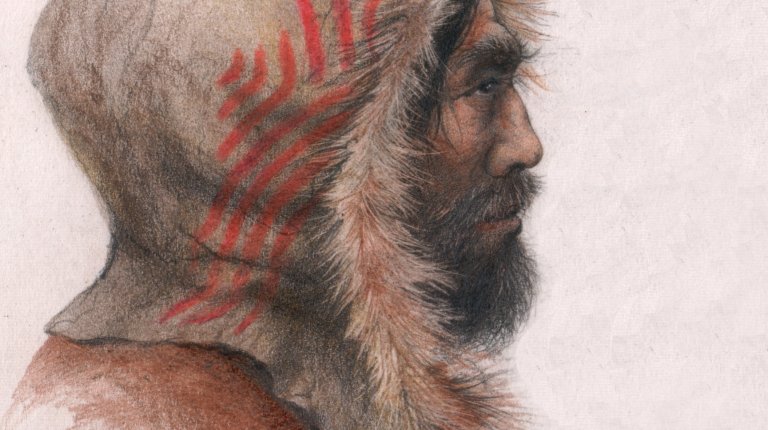 Homo sapiens (drawing: P. Dvorský)