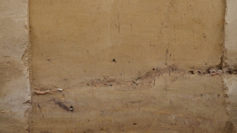 Profile (photo: J. Svoboda)