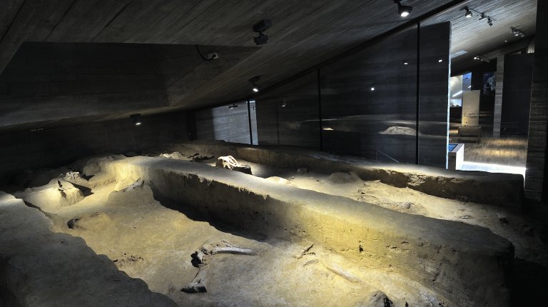 7.1 Mammoth bone midden