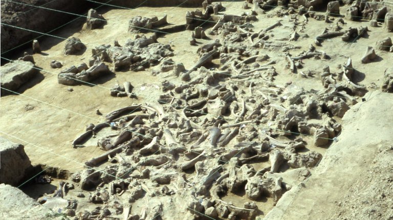 Dolní Věstonice (photo: J. Svoboda)