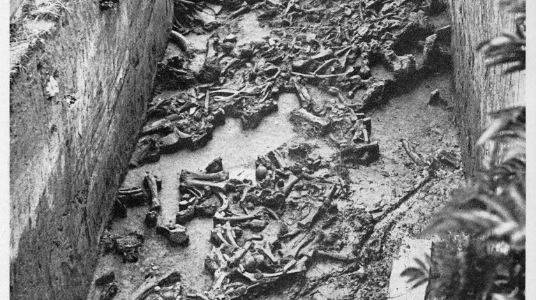 Milovice (photo: E. Dania)