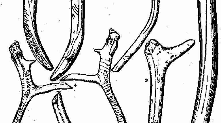 Shovel-like tool (after Klíma 1987)