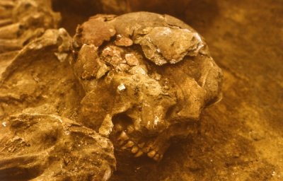 DV 14 (photo J. Svoboda)