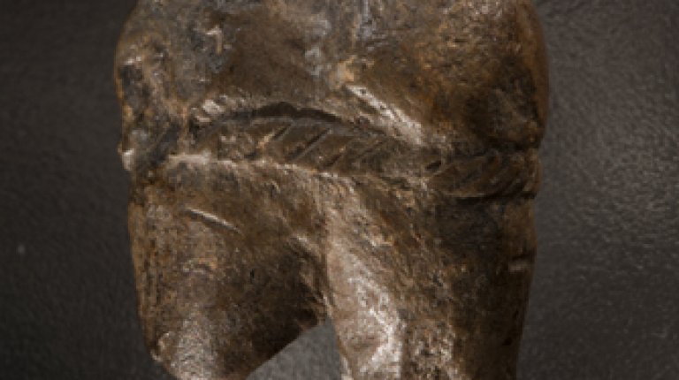 11.6 Torso of a woman with a belt over her hips