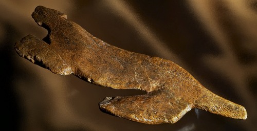 11.7 Outline carving of a lion