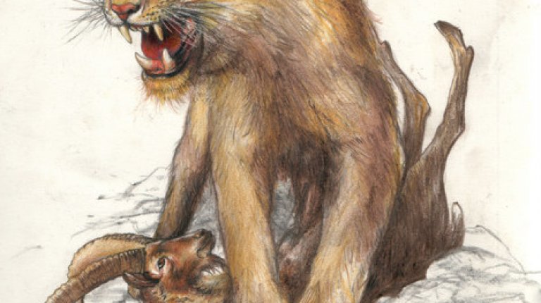 Drawing: P. Dvorský