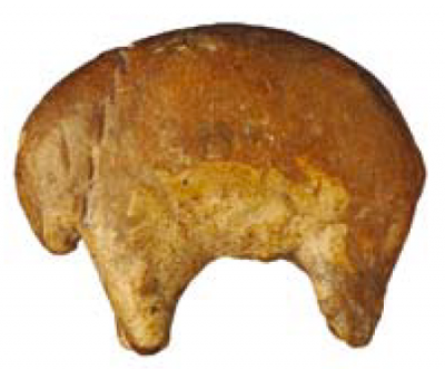 Photo: Archeopark Pavlov