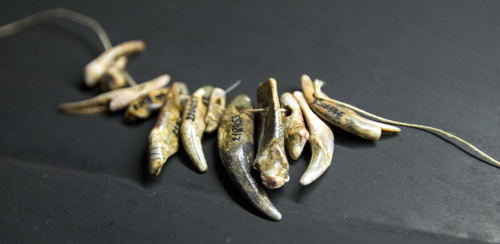 9.2 Necklace or headdress (diadem) from perforated animal teeth