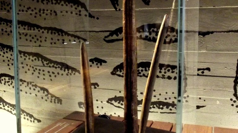 5.1 Spear points made from antler and mammoth tusk