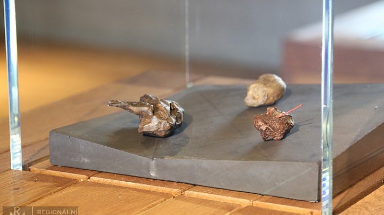 5.3 Deliberately damaged ceramic animal figurines