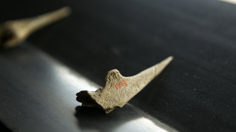 8.3 Bone and antler industry