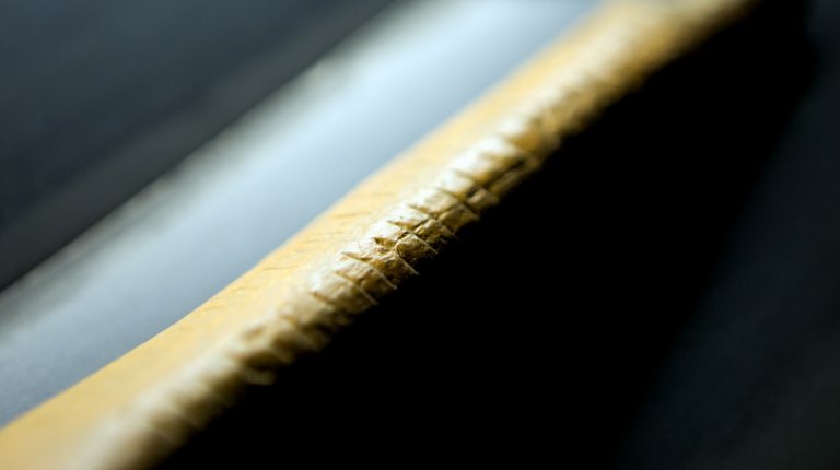 8.6 Bone with grooves