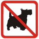 psi