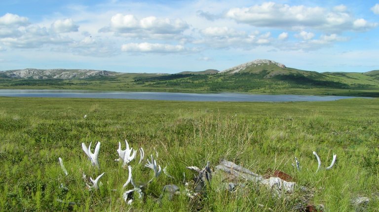 ETNOARCHEOLOGIE - Pastevci sobů ze severozápadní Sibiře