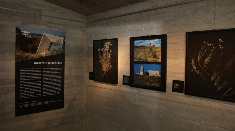 Výstava: Rozkvetlý archeopark (2019)