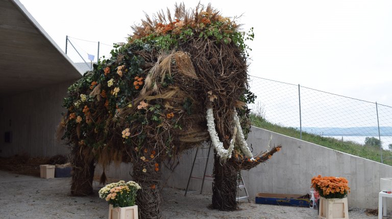 Archäopark im Mai und in voller Blüte (2019)