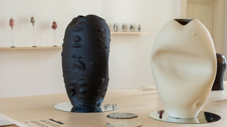 Druhy-zivot-venuse_zamek_013