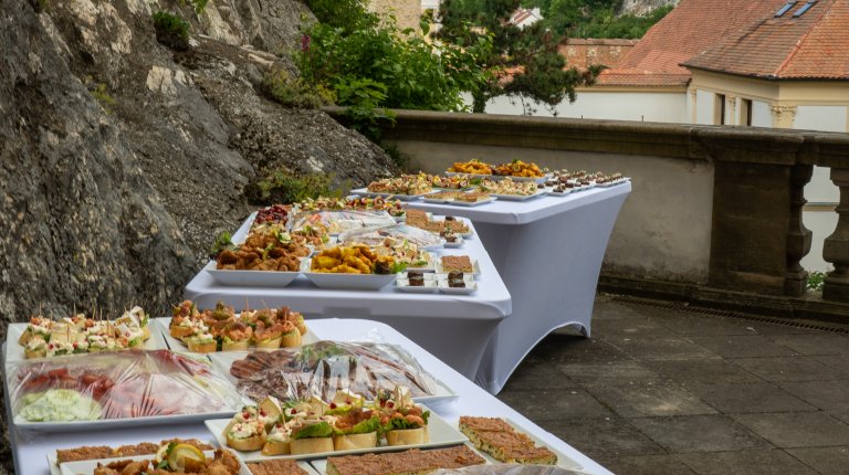 Druhy-zivot-venuse_2025-05-24_023vernisáž výstava druhý život venuše zámek mikulov